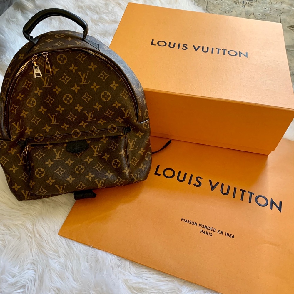 Louis Vuitton Palm Springs Monogram MM backpack